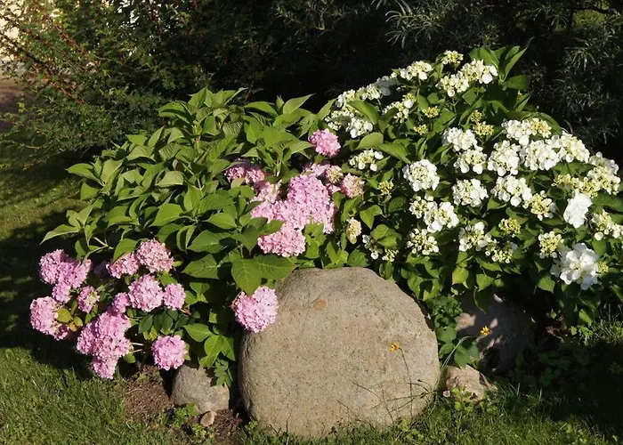 Land Fleesensee Feriehus Göhren-Lebbin